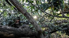 Ako blesk z jasného neba. Ukrajinský snajper opísal detaily rekordného zásahu