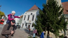 Bratislava má už vianočný stromček