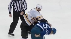 VIDEO Chára sa pobil, keď bránil spoluhráča. Súpera po pár úderoch poslal k zemi