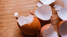Vyhadzujete škrupiny z vajec? Nerobte to a využite ich vo svojej domácnosti