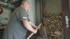 Cena dreva rastie rapídne. Budaj karhá lesy, že ho vyvážajú do zahraničia, lesníci sa bránia