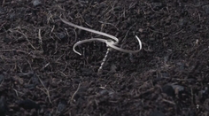 Pomocná ruka vyčerpanej pôde. Vedci vynašli spôsob, ako sa semienko zahrabe samé