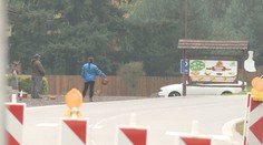 Čo v lese nájdu, to pri ceste predávajú. Zberačom húb za to hrozia pokuty