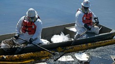 Ekologická katastrofa v Kalifornii, ktorej sa dalo zabrániť. Úrady nereagovali dostatočne rýchlo