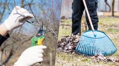 Záhradkári, pozor: Tieto chyby na jar ničia úrodu. Odborníci radia, čo urobiť už teraz (+ jarné desatoro)