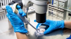 Nespôsobuje rakovinu, no významne pomáha jej šíreniu. Vedci opísali mechanizmus, ako stres pomáha šíreniu metastáz