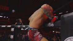 VIDEO: Možný získal titul na MMA sviatku v Košiciach. Viszlay vyskočil z klietky a zaútočil na fanúšika