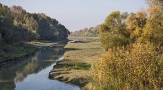 Kedysi táto oblasť lákala zlatom, dnes je útočiskom pre vzácne druhy zvierat. Oboplávali sme Veľkolélsky ostrov