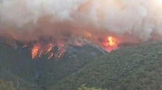 Austrálska vláda odmieta súvis medzi požiarmi a klimatickou zmenou