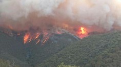 Austrálska vláda odmieta súvis medzi požiarmi a klimatickou zmenou