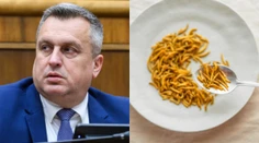 SNS avizuje nový zákon. Riešiť bude potraviny, ktoré obsahujú hmyz