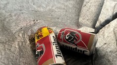 Nový zamestnanec múzea vyhodil exponát do koša. Myslel si, že sú to odpadky