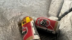 Nový zamestnanec múzea vyhodil exponát do koša. Myslel si, že sú to odpadky