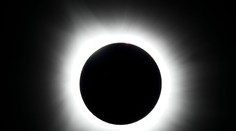 Zatmenie Slnka môže naznačiť zvieratám, že deň sa končí skôr. Ako pripraviť domácich miláčikov na zmenu svetla?