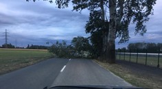 Veterná smršť v číslach. Hasiči zverejnili, kde to bolo najhoršie