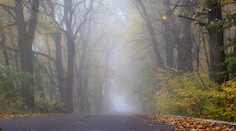 Dážď ustúpi a aj naďalej bude teplé počasie