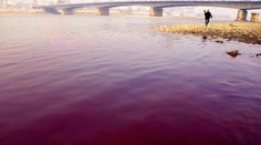 Austrálske úrady riešia záhadu: Voda v prístave v Sydney sa zafarbila do krvavočervena