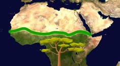 Ambiciózny plán naberá reálne kontúry. V Afrike chcú postaviť tisíce kilometrov dlhý zelený múr