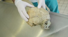 Neďaleko známeho tatranského hotela našiel ľudskú lebku