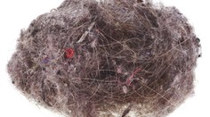 Z hinduistického chrámu ukradli desať kíl ľudských vlasov