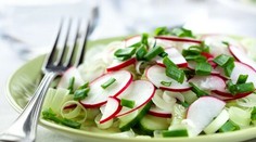 Redkvičkový šalát s jarnou cibuľkou