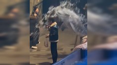 VIDEO: Muž si v akváriu napriek zákazu zapálil cigaretu. Bieluha mu dala lekciu