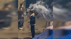 VIDEO: Muž si v akváriu napriek zákazu zapálil cigaretu. Bieluha mu dala lekciu