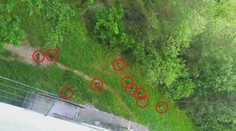 V Považskej Bystrici zahájili odstrel diviakov, ktoré ohrozujú ľudí na sídlisku