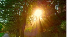 Ešte vydržte, od piatku sa poriadne oteplí