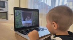 Muž, ktorý dal prírode oči: Živé kamery sledujú milióny ľudí. Roky priniesli vtipné aj smutné momenty