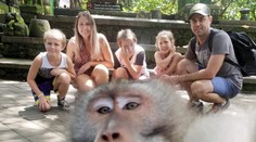 Drzá opica je hitom internetu: Rodina až po návrate z dovolenky zistila, čo im vyviedla