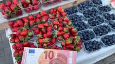 Dalibor dal škôlkarom jahody zadarmo. O chvíľu za ním prišla neznáma žena a dojala ho