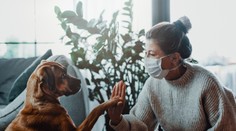 Nakazili ste sa covidom? Svojim domácim miláčikom sa radšej vyhýbajte, ohrozené sú aj mačky a psy