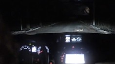 Vtipná ruská reklama baví svet. V hlavne úlohe je pes a nemožná vodička