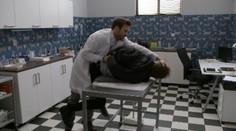 Mierumilovný veterinár? Ale kdeže! Tomáš Jara spacifikoval jediným chmatom