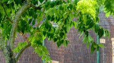 Bude už slnečno a teplo? Radšej si pripravte dáždniky a rátajte s búrkami