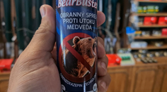 Napadnutí muži použili voči medveďovi sprej, no nepomohol. Najjednoduchšie sú tieto rady