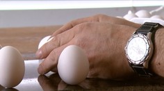 Američan dokáže nemožné: Vie postaviť vajíčko