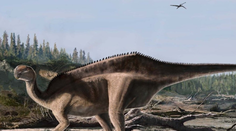 Objavili nový druh dinosaura s výraznou chrbtovou plachtou. Vedci vysvetlili, na čo slúžila