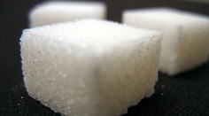 Slováci húfne vyrážajú do Maďarska, aby kúpili aj to, čo sa vyrába na Slovensku