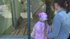 Straty počítajú v tisícoch. Bojnická zoo po uvoľnení opatrení opäť otvorila svoje brány