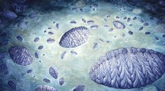 Vedci odhalili záhadu, kto mal prvý na svete pohlavný styk