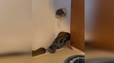 VIDEO: V dome bolo príjemne teplo. Keď sa doňho nová majiteľka nasťahovala, čakalo ju desivé prekvapenie