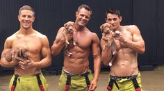 Sen každej ženy: Silní chlapi a nežné šteniatka pózovali pre kalendár