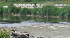 Desivý nález v rieke pri Košiciach: Objavili ľudské pozostatky zachytené o konár