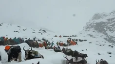 Veľká záchranná akcia na úpätí Mount Everestu. Stovky ľudí uviazli v snehovej búrke