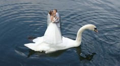 Politici prezradili, čo očakávajú od spojenia: "...jedného muža a jednej  ženy"