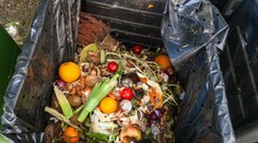 Plytvajú potravinami najviac obchody? Ani náhodou. Budete prekvapení, kto je najväčší „škodca“