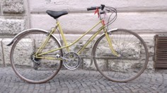 Primátor Žiliny odmietol originálny darček, aktivisti zostali sklamaní