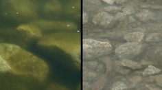 Tatranské Akty X. Záhadné Štrbské pleso je ešte záhadnejšie